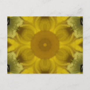Cartão Postal Flor de Sol Explosão Dourada