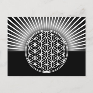 Cartão Postal Flor de vida / Blume des Lebens - plana branca
