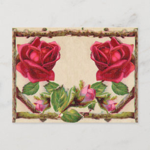 Cartão Postal Flor de Vintagem de Rosas Russos Antigos