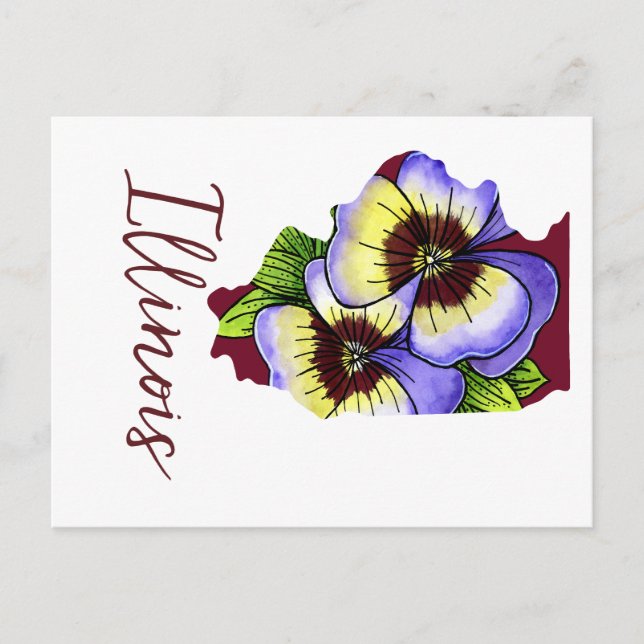 Cartão Postal Flor do Estado de Illinois (Frente)