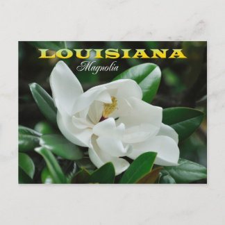 Cartão Postal Flor do estado de Louisiana: Doenças do