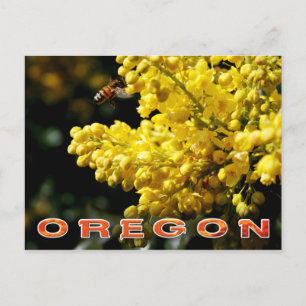 Cartão Postal Flor do Estado de Oregon: Uva de Oregon