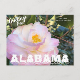 Cartão Postal Flor do Estado do Alabama, Cartão-postal Camellia