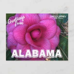 Cartão Postal Flor do Estado do Alabama, Cartão-postal Camellia