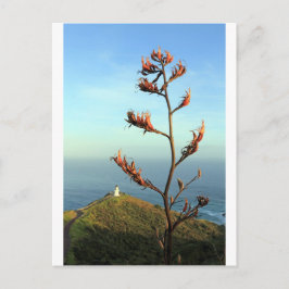 Cartão Postal Flor do linho da Nova Zelândia Cabo Reinga