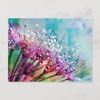 Cartão Postal Flor Fechado Cristal Refrigerante Água Cai Chuva N
