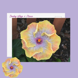 Cartão Postal Flor Fotográfico Botânico de Hibisco Amarelo