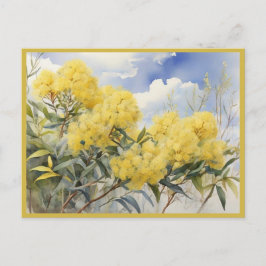 Cartão Postal Flor Nacional Austrália Ouro Wattle |