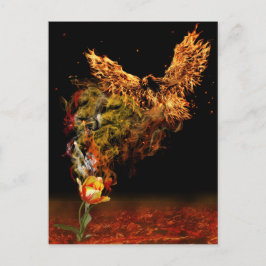 Cartão Postal Flor Phoenix
