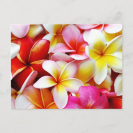 Cartão Postal Flor Plumeria Frangipani Hawaii Personalizado