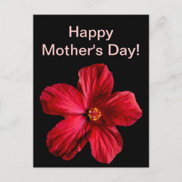 Cartão Postal Flor Red Hibiscus