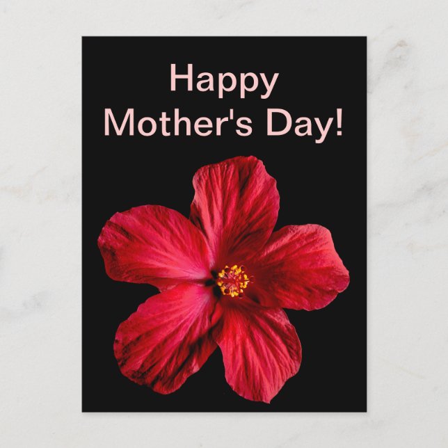 Cartão Postal Flor Red Hibiscus (Frente)