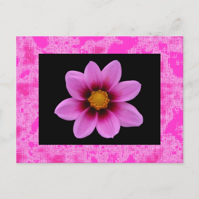 Cartão Postal Flor rosa (Frente)
