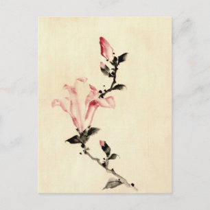 Cartão Postal Flor rosa