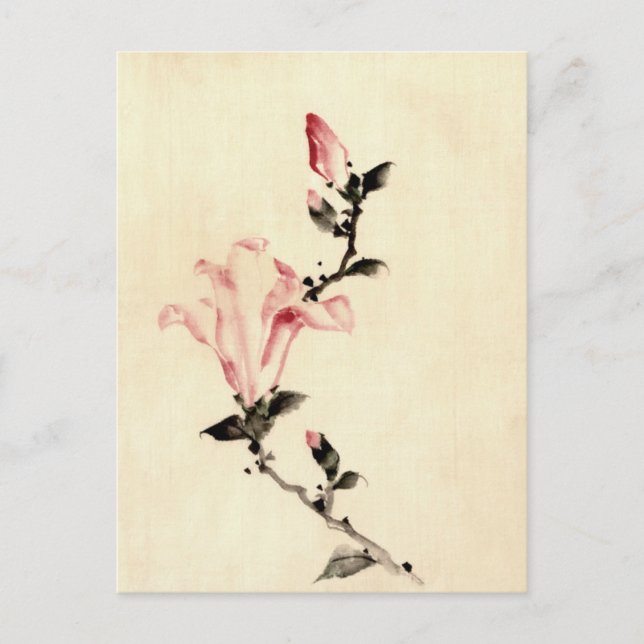 Cartão Postal Flor rosa (Frente)