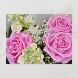Cartão Postal Flor Rosa Flor Branca em Branco