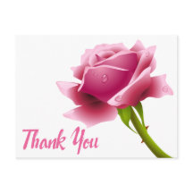 Flor Rosa Rosa Rosa Rosa Rosa Rosa Rosa Rosa