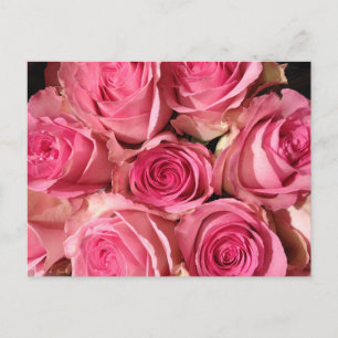 Cartão Postal Flor Rosa Rosado