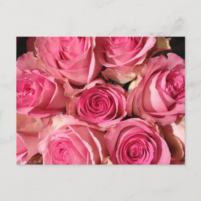 Cartão Postal Flor Rosa Rosado (Frente)