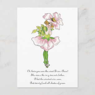 Cartão Postal Flor Rosa Silvestre Rosa Floral Engraçado Menina F