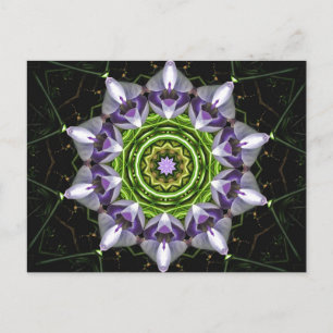 Cartão Postal Flor Roxa