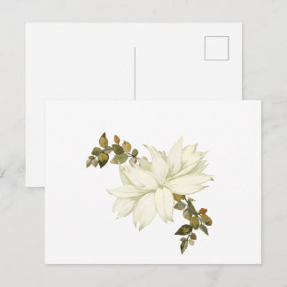 Cartão Postal Flor Simplista Branca e Folhagem