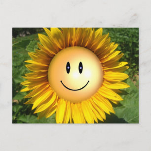 Cartão Postal Flor Sorriso de Sol