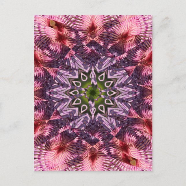 Cartão Postal Flor Twist Mandala 2015 (Frente)