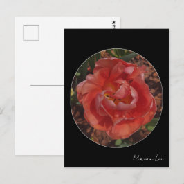 Cartão Postal flor vermelha