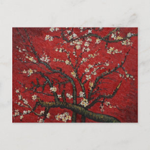 Cartão Postal Flor Vincent van Gogh da amêndoa