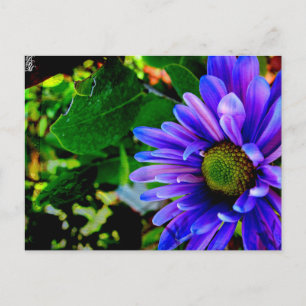 Cartão Postal Flor Violeta Brilhante