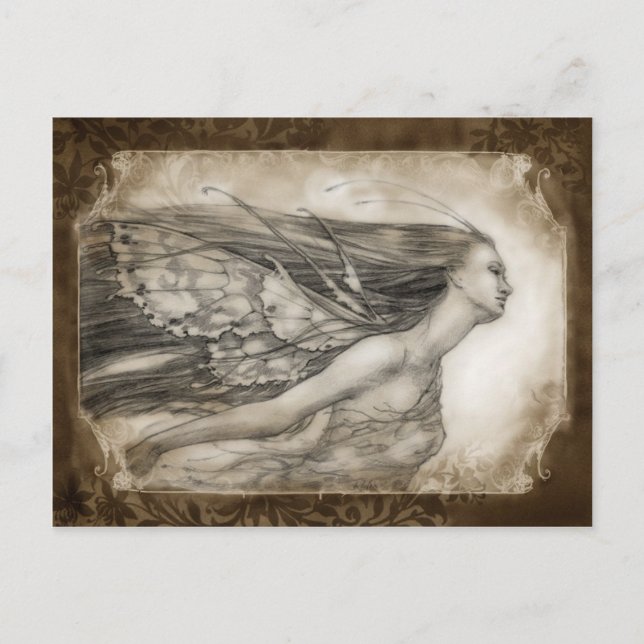 Cartão Postal Flora (Frente)