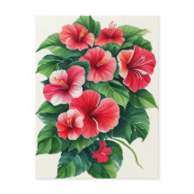 Flora Tropical Hibisco Vermelho Claro
