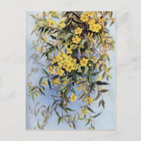 Floral Amarelo Vintage Carolina Jessamine