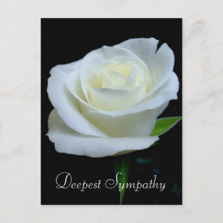 Cartão Postal Floral Black and White Rose Deepest Sympathy