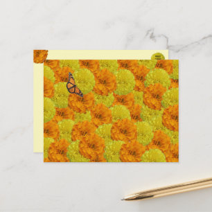 Cartão Postal Floral Borboleta Monarca e Maravilha