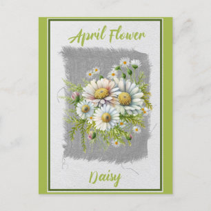 Cartão Postal Floral de Margarida de Flor de Abril Vintage