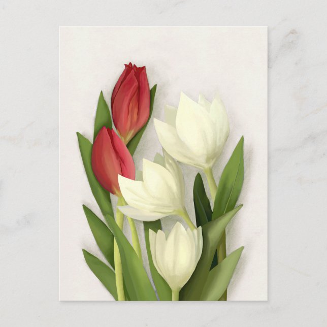 Cartão Postal Floral de Tulipas Vermelhas e Branca (Frente)