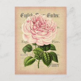 cartão postal floral feminino da rosa floral