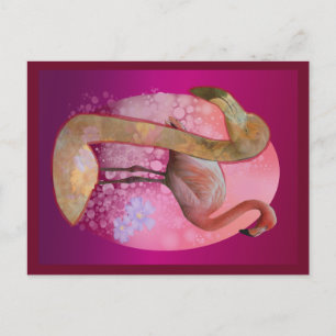 Cartão Postal Floral Flamingo