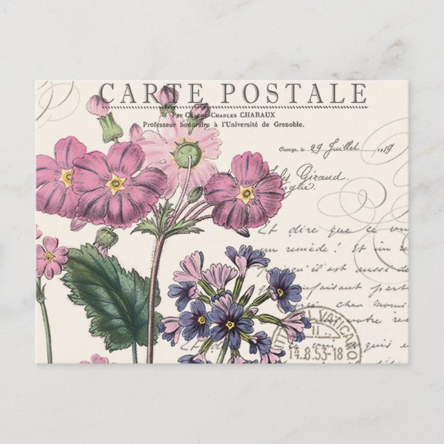 Cartão Postal floral francês de lavanda de colheita moderna (Frente)