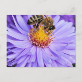 Cartão Postal Floral Garden Park Peace Love