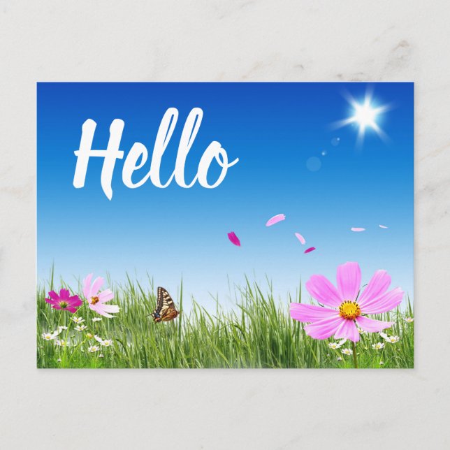 Cartão Postal Floral Hello Daisy Butterfly Flores Selvagens Amig (Frente)