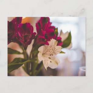 Cartão Postal Floral Minimalista