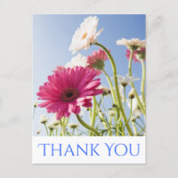 Floral Obrigado A Gerbera Daisy Flower Rosa E Bran