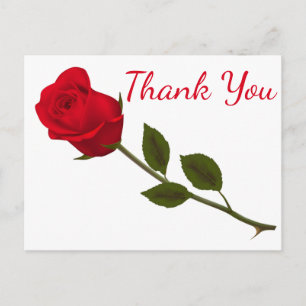 Cartão Postal Floral Obrigado Rosa vermelha Flor