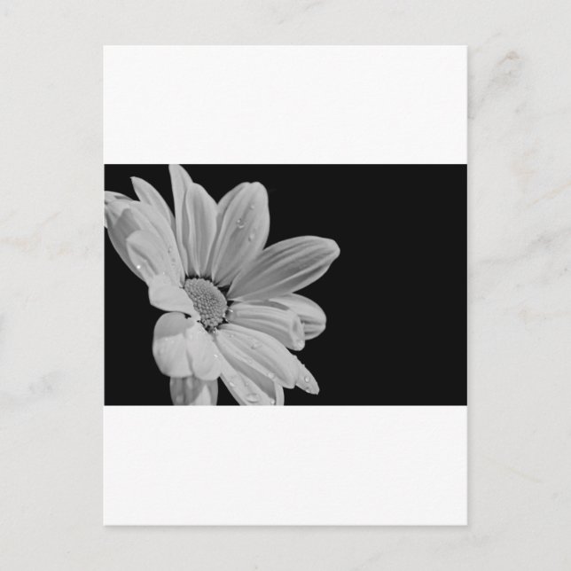 Cartão Postal Floral Pacífico (Frente)