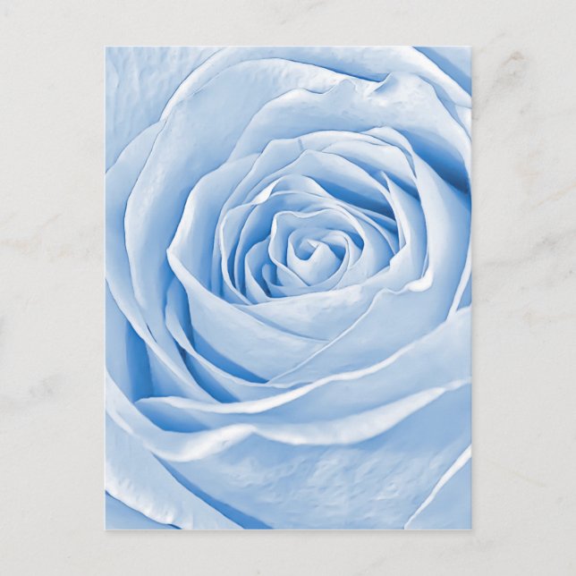 Cartão Postal Floral Photo Daee Light Blue Rosa (Frente)