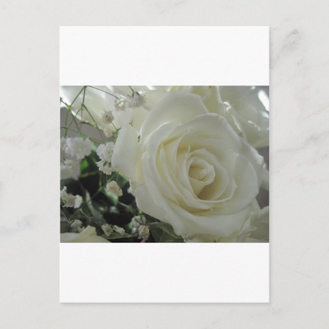 Cartão Postal Floral Rosa (Frente)