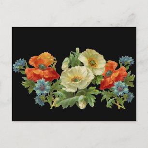 Cartão postal floral vintage de papoulas e centáur